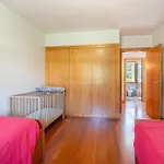Casa Cervo E Prado - By Proguest